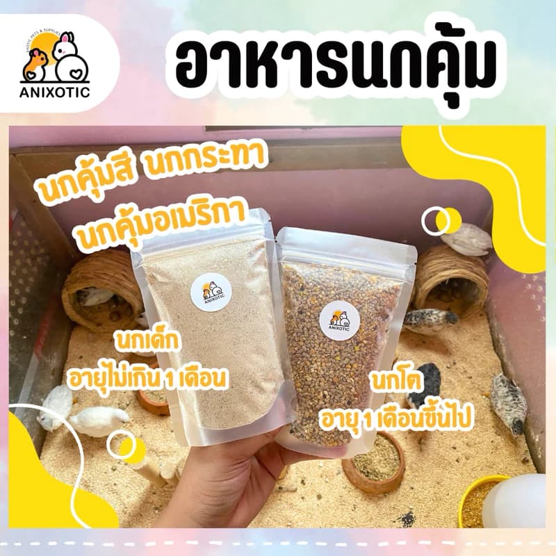 Chef Winston [Chicky Quail] อาหารนกคุ้ม นกคุ้มสี นกคุ้มอเมริกา อาหารนกกระทา อาหารไก่