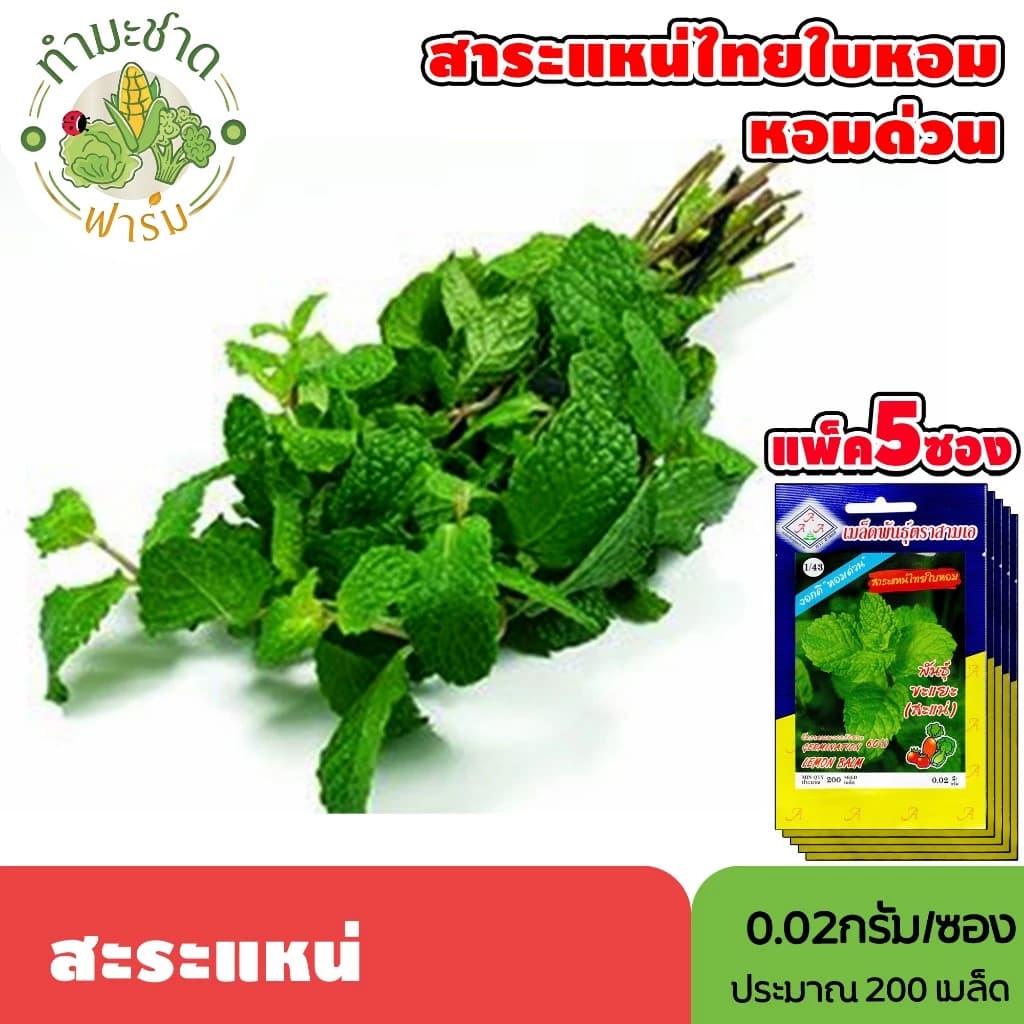 [แพ็ค 5 ซอง] 3A เมล็ดพันธุ์ สะระแหน่ ขนาดซองละ0.02กรัม ประมาณ200เมล็ด/ซอง LEMON BALM สะแน่ หอมด่วน มักเงาะ เมล็ดพันธุ์