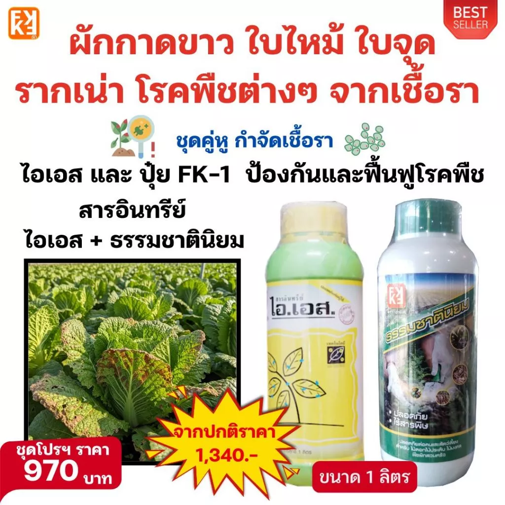 ชุดปุ๋ย กำจัดเชื้อรา ผักกาดขาว ใบไหม้ ใบจุด ไอเอส และ ปุ๋ยน้ำ FK-T เร่งฟื้นฟู จากการทำลายของเชื้อรา