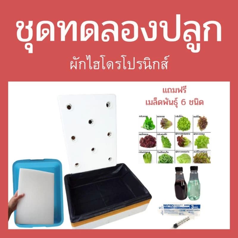 ชุดทดลองปลูกผักไฮโดรโปนิกส์ กล่องโฟมปลูกผัก ผักไฮโดรโปนิกส์ อุปกรณ์ปลูกผักไร้ดิน ผักในน้ำ…