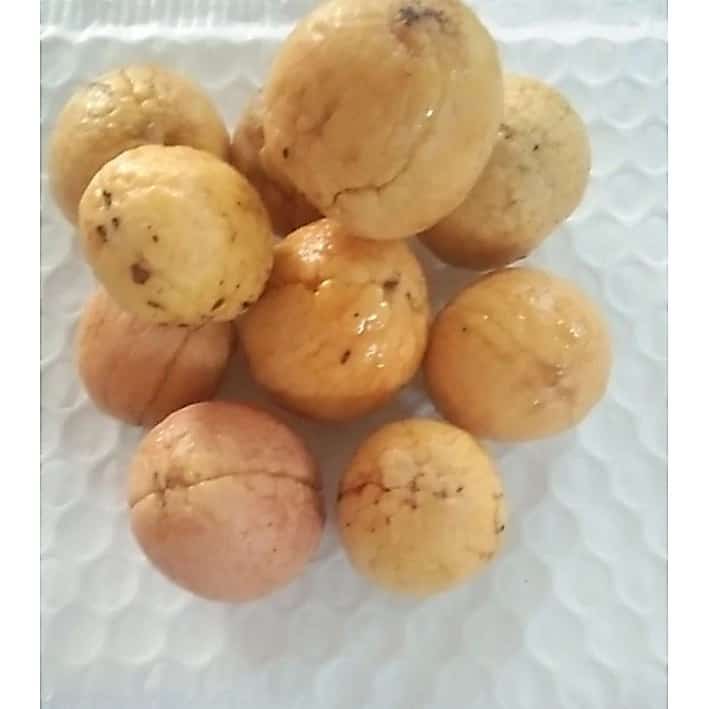 เมล็ดพันธุ์ต้นอะโวคาโด พันธุ์บัคคาเนียร์สสายพันธุ์อเมริกา สำหรับเพาะปลูกขยายพันธุ์15เมล็ด