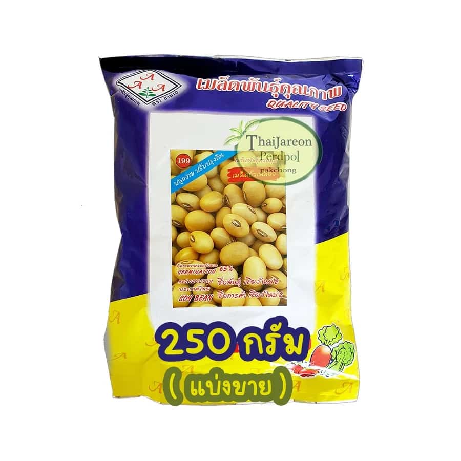 เมล็ดพันธุ์ เมล็ดถั่วเหลือง เชียงใหม่ 2 Soybean Seed เมล็ดถั่วเหลืองสามเอ มีแบ่งขาย…