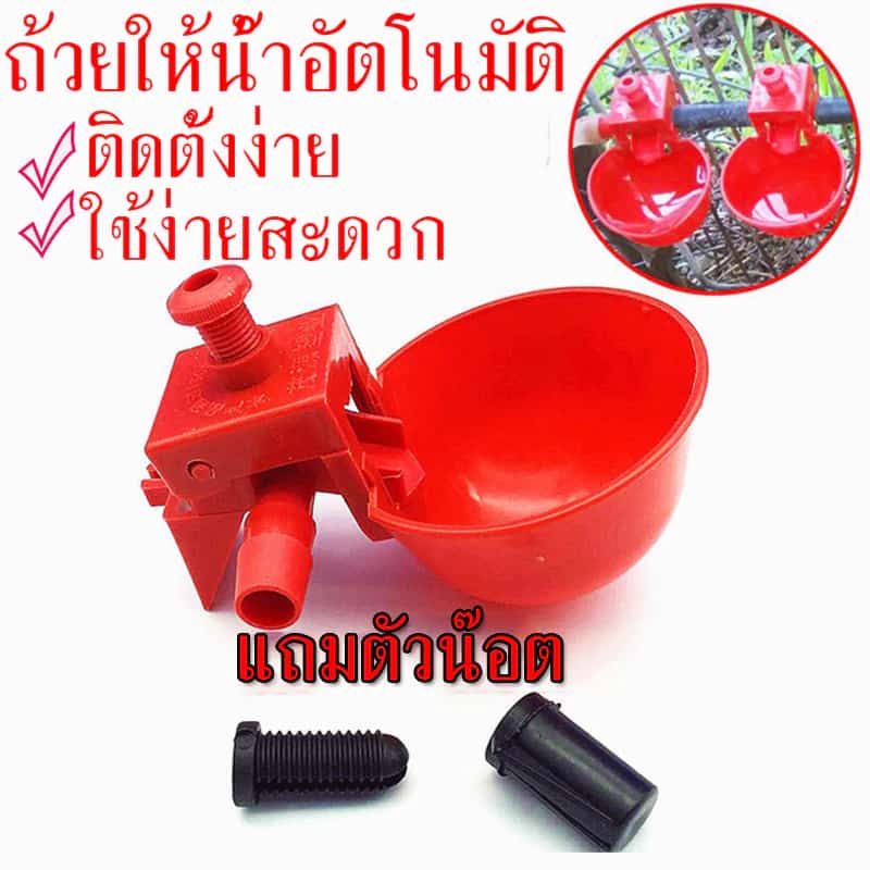 ถูกสุด ถ้วยให้น้ำไก่ ถ้วยให้น้ำอัตโนมัติ ใช้สำหรับไก่ไข่ ไก่ชน ไก่เลี้ยงทั่วไป เป็ด…
