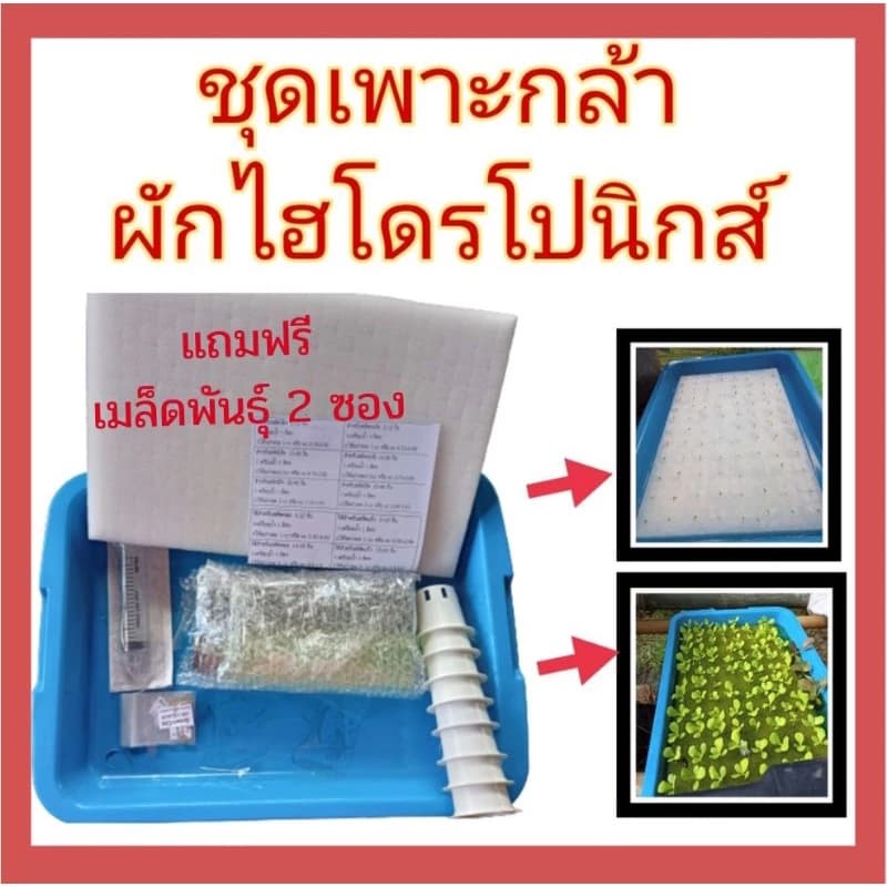 ชุดเพาะกล้าผักไฮโดรโปนิกส์ ผักสลัด ไฮโดรโปนิกส์ อุปกรณ์ปลูก ผักไฮโดรโปนิกส์ เพาะต้นกล้าผัก…