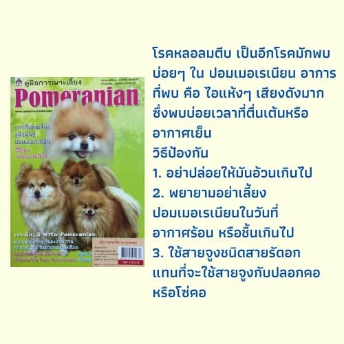 หนังสือการเลี้ยงสัตว์ คู่มือการเพาะเลี้ยง Pomeranian : มาตรฐานสายพันธุ์ โรคประจำตัว…