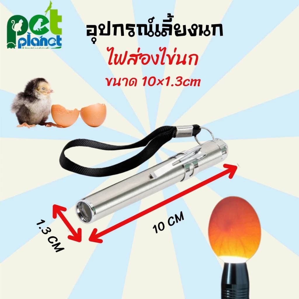 อุปกรณ์เลี้ยงนก ไฟส่องไข่นก ไฟนก ไฟฉายส่องไข่นก อุปกรณ์สำหรับ นก นกแก้ว นกหงส์หยก ไก่ ไฟส่องไข่ ฟักไข่