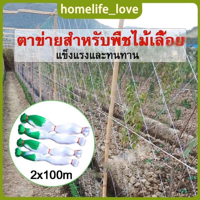ตาข่ายปลูกผัก โครงไม้เลื้อย ตาข่ายปลูกแตงกวา ตาข่ายทำค้าง ตาข่ายปลูกถั่ว อุปกรณ์ทำสวน…