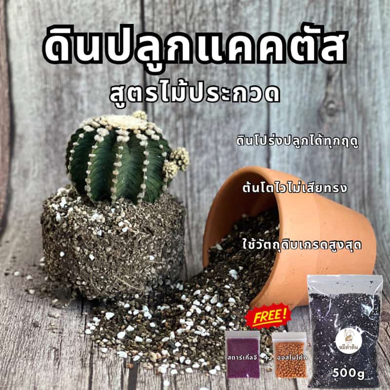ดินปลูกแคคตัส 500g และ1kg แถมฟรีออสโมโค้ทและสตาร์เกิ้ลจี ดินปลูต้นไม้ ดินปลูกไม้อวบน้ำ…