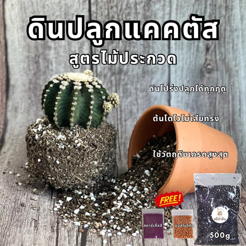 ดินปลูกแคคตัส 500g และ1kg แถมฟรีออสโมโค้ทและสตาร์เกิ้ลจี ดินปลูต้นไม้ ดินปลูกไม้อวบน้ำ…