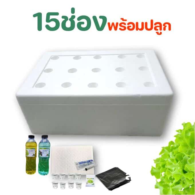 ชุดพร้อมปลูกผักไฮโดรโปนิกส์ 15ช่อง กล่องปลูกไฮโดร กล่องโฟม ปลูกผัก ไฮโดรโปนิกส์ hydroponics…