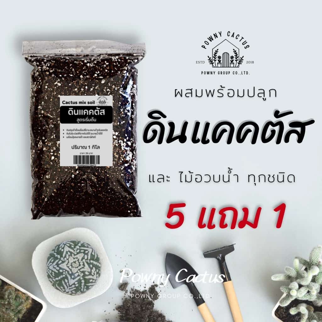 ดินปลูกแคคตัส ดินพร้อมปลูก ดินปลูกกระบองเพชร ดินปลูกไม้อวบน้ำ ดินผสมสำเร็จ สูตรโปร่งพิเศษ…