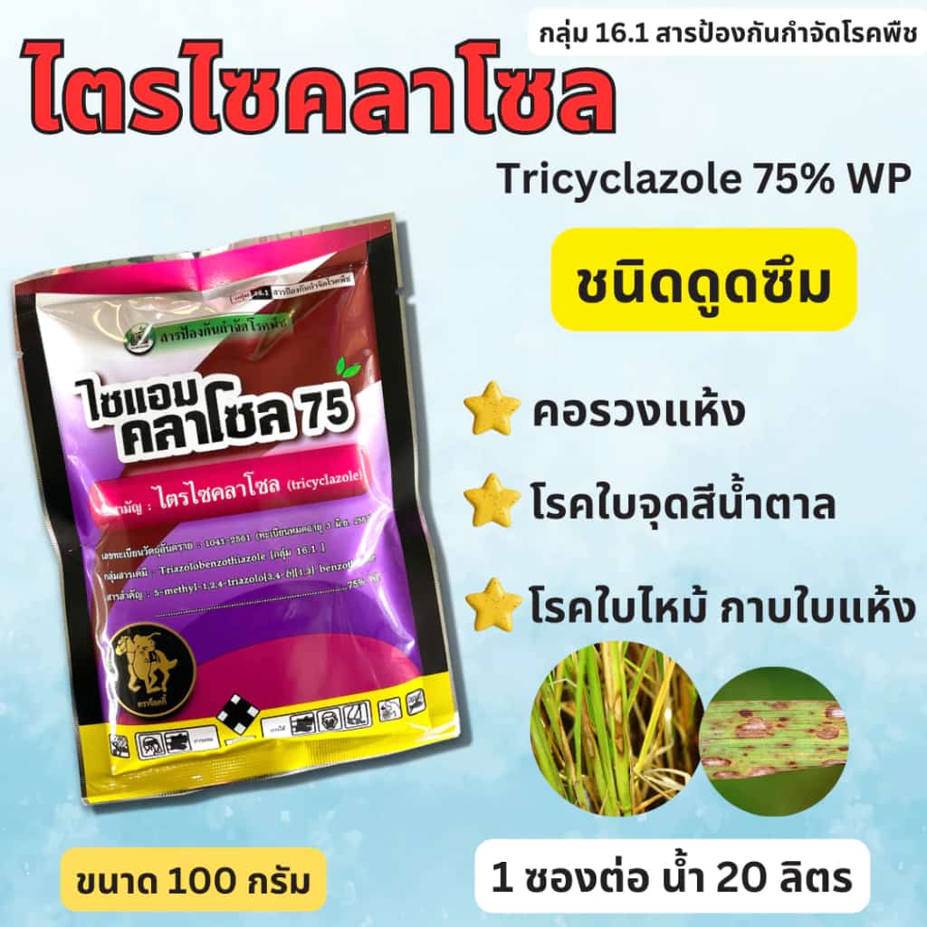 ไตรไซคลาโซล 75% WP 100g. บีม โรคใบไหม้ในข้าว ข้าวใบไหม้ โรคใบไหม้ โรคใบไหม้ ขอบใบไหม้…