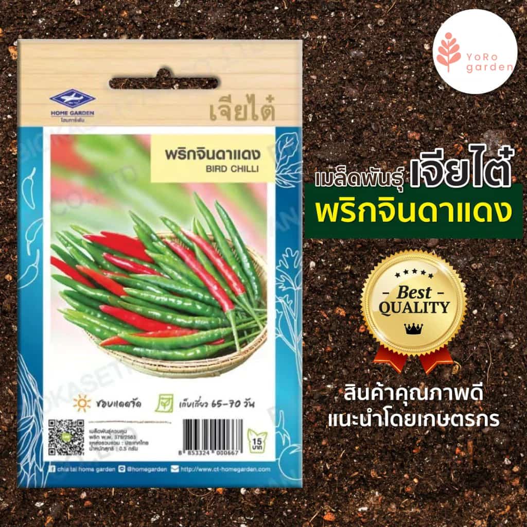 เมล็ดพันธ์ุผักเจียไต๋ เมล็ดพันธุ์พริก พริกจินดาแดง ,พริกขี้หนูสวน ,พริกหนุมเขียว ,พริกหนุ่มขาว…
