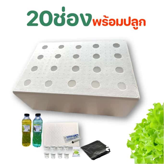 ชุดพร้อมปลูกผักไฮโดรโปนิกส์ 20ช่อง กล่องปลูกไฮโดร กล่องโฟม ปลูกผัก ไฮโดรโปนิกส์ hydroponics…