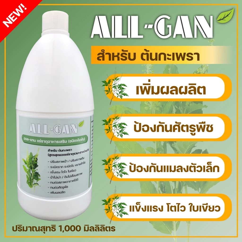 ปุ๋ยน้ำกะเพราปุ๋ยชีวภาพALL GAN1000ml.ปุ๋ยน้ำออแกนิคช่วยต้านทานโรคสูตรเข้มข้นพิเศษใช้ได้นานจากธร…