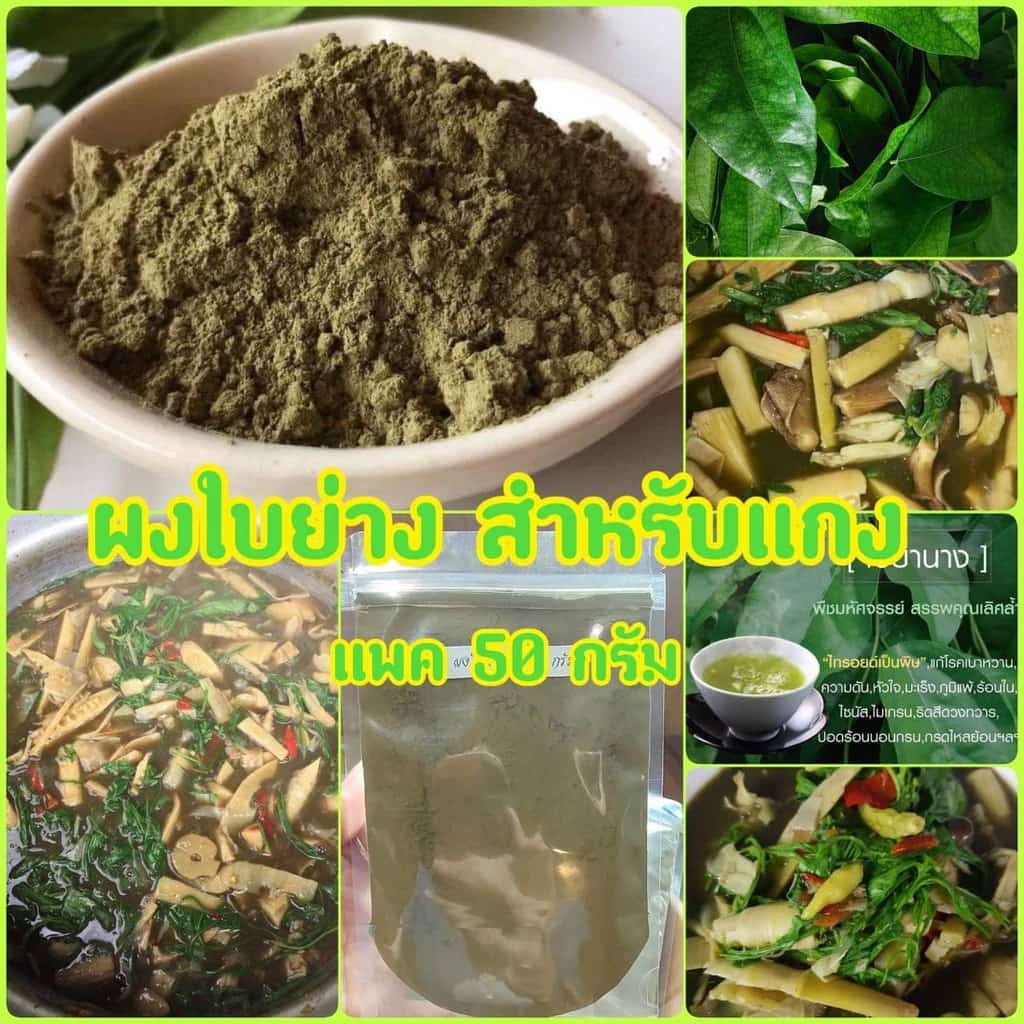 ใบย่านางอบแห้งบดผง ย่านางผงล้วน100% ( 50 กรัม) ใช้แทนใบย่านางสด ผงย่านาง