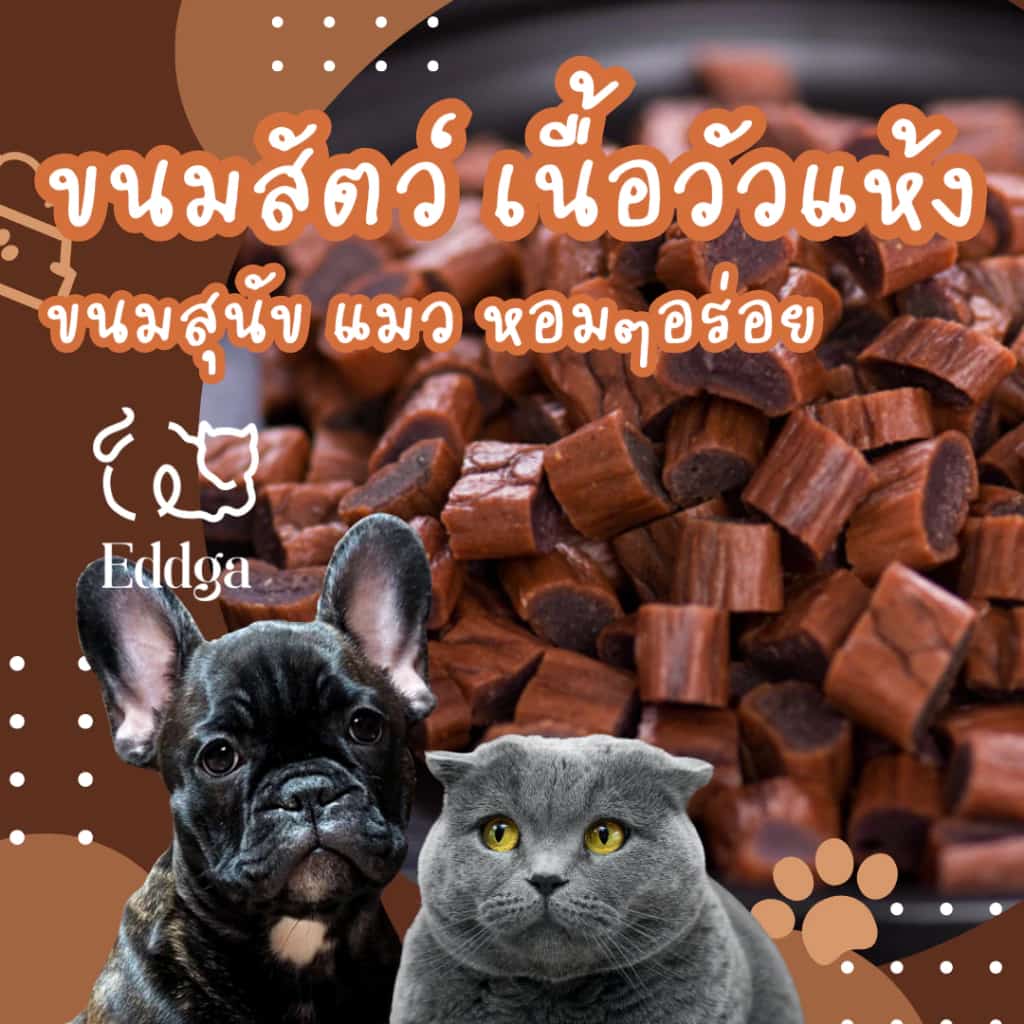 ขนมหมาเม็ด เนื้อวัวเม็ด อบแห้ง เนื้อวัวอบแห้ง หมา แมว ขนมแมว ขนมหมา ขนมฝึกหมา เนื้อเต๋าอบแห้ง…