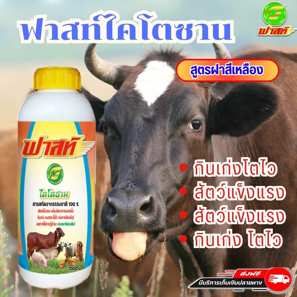 ป้องกันโรค เพิ่มภูมิต้านทานป้องกันโรคลัมปีสกินและปากเท้าเปื่อย ฟาสท์ไคโตซานฝาเหลือง1ขวด ปลอดภัย
