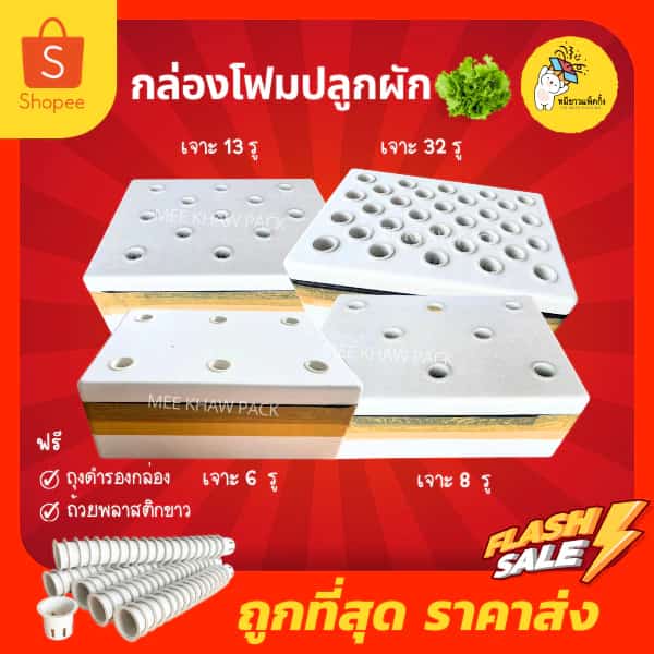กล่องปลูกผัก กล่องโฟมปลูกผักไฮโดรโปนิกส์ ปลูกผักสลัด พร้อมถ้วยปลูก