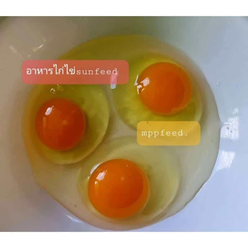อาหารไก่ไข่1กิโล30บาท อาหารไก่ไข่ซันฟีด อาหารไก่ไข่คุณภาพดี