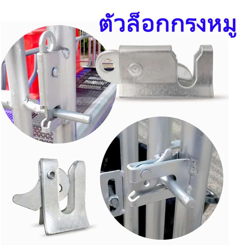 กลอนประตูหมู ลูกบิดประตู กลอนหางปลา ล็อกประตู ตัวล็อคประตูหมู กลอน สุนัข หมู คอกหมู