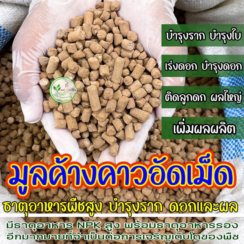มูลค้างคาวอัดเม็ดอย่างดี 1 กิโล ขี้ค้างคาวอัดเม็ด ธาตุอาหารสูง เร่งดอกแตกตาผลดก ปุ๋ยคอก…