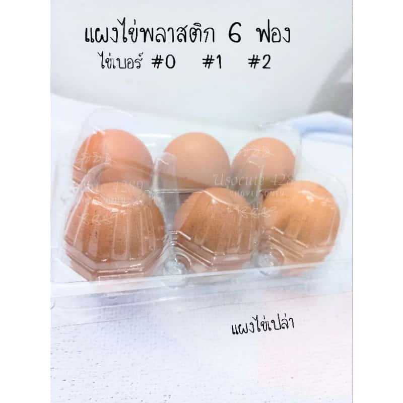 แผงไข่พลาสติก 6 ฟอง อย่างหนา พร้อมฝาล็อค (ราคา ต่อ1กล่อง)