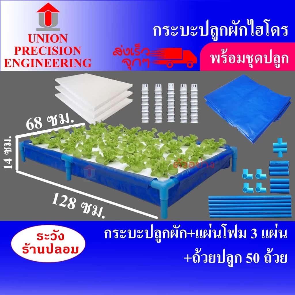 Union กระบะปลูกผัก กล่องปลูกผัก กระบะไฮโดร ชุดกระบะปลูกผักไฮโดรโปนิกส์ ปลูกผักไร้ดิน น้ำนิ่ง