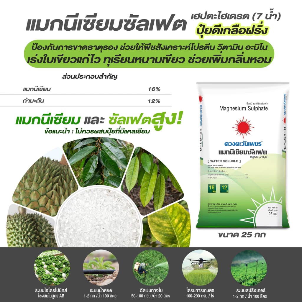 แม่ปุ๋ย MgSO4 แมกนีเซียมซัลเฟต เฮปตะไฮเดรต (ดีเกลือฝรั่ง) ละลายน้ำ 99% ปุ๋ยเกล็ด ปุ๋ยทางใบ…
