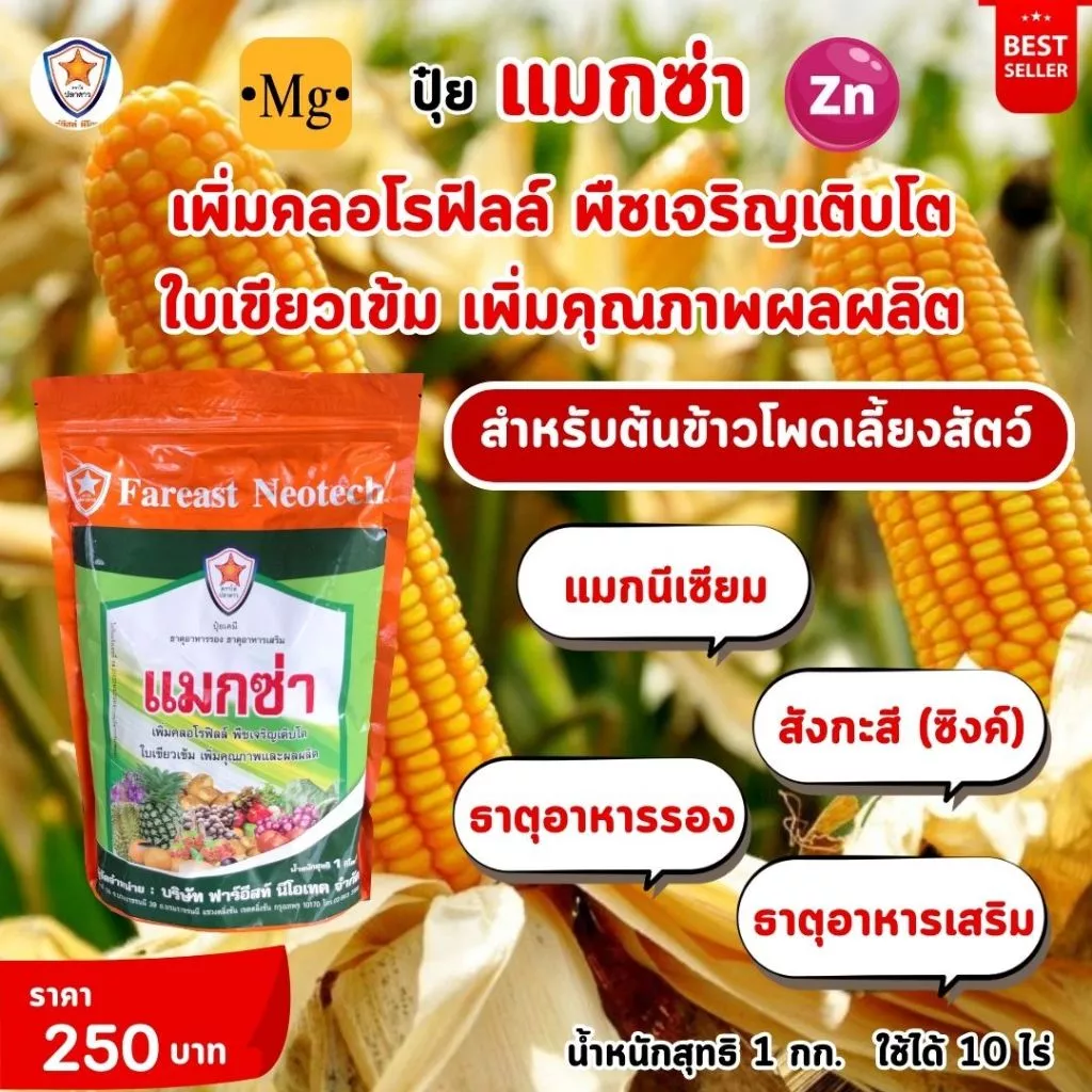 ธาตุอาหารรอง ธาตุอาหารเสริม ที่จำเป็นของต้นข้าวโพดเลี้ยงสัตว์ แม็กนีเซียม ซิงค์ สร้างความแข็งแรง บำรุงพืช ด้วยแมกซ่า