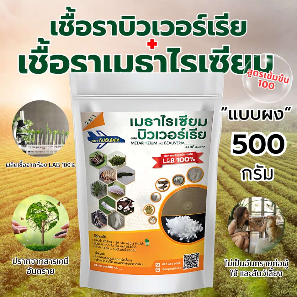 เมธาบิว สูตรเข้มข้น เชื้อราบิวเวอร์เรีย + เชื้อราเมธาไรเซียม แบบผง