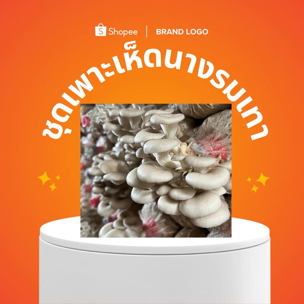 ชุดเพาะเห็ดนางรมเทาชุด 20 ก้อนพร้อมคู่มือสำหรับมือใหม่