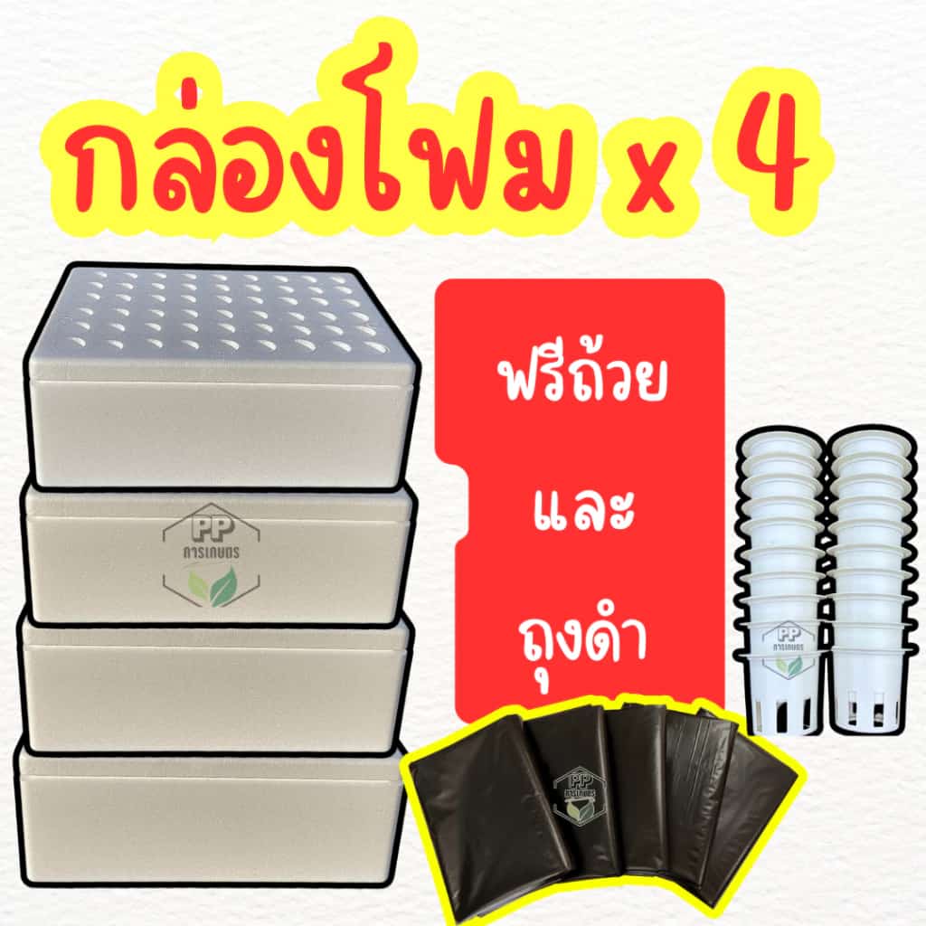 กล่องโฟมชุด 4 ใบ พร้อมถ้วยปลูก และ ถุงดำ พร้อมปลูก กล่องโฟมปลูกผัก กล่องโฟมปลูกผักไฮโดรโปนิกส์…