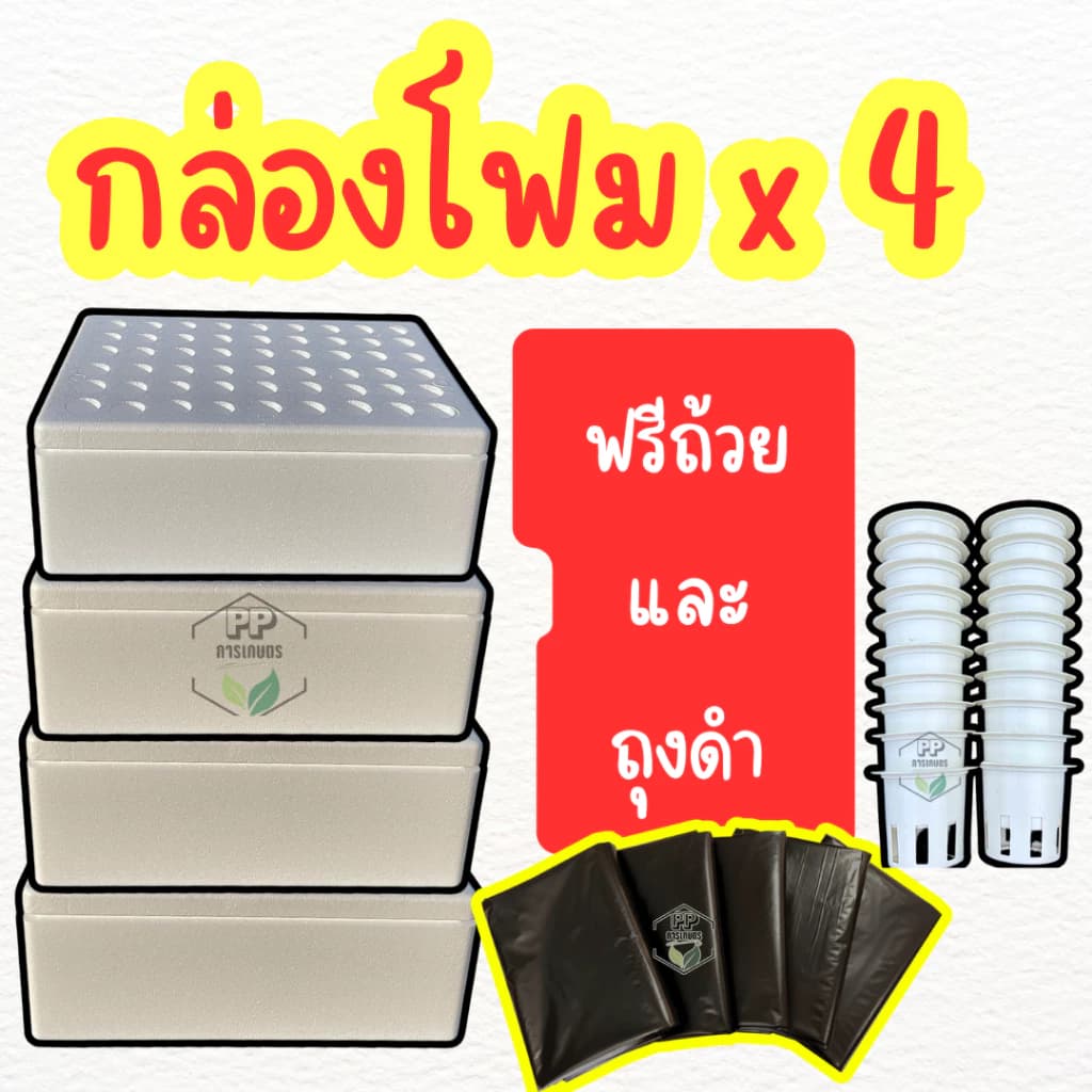 กล่องโฟมชุด 4 ใบ พร้อมถ้วยปลูก และ ถุงดำ พร้อมปลูก กล่องโฟมปลูกผัก กล่องโฟมปลูกผักไฮโดรโปนิกส์ **อุปกรณ์ครบพร้อมปลูก**