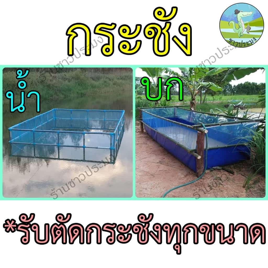 กระชังน้ำ กระชังบก กระชังเลี้ยงปลากระชังกุ้ง กระชังกบ กระชังเลี้ยงกบ เลี้ยงกบ ปลา กุ้ง…