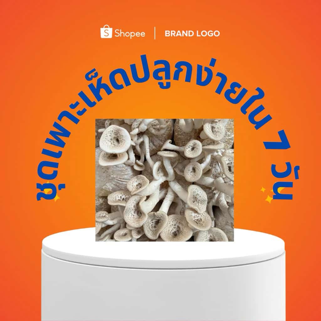 ชุดเพาะเห็ดขอน 20 ก้อนพร้อมปลูกสำหรับมือใหม่