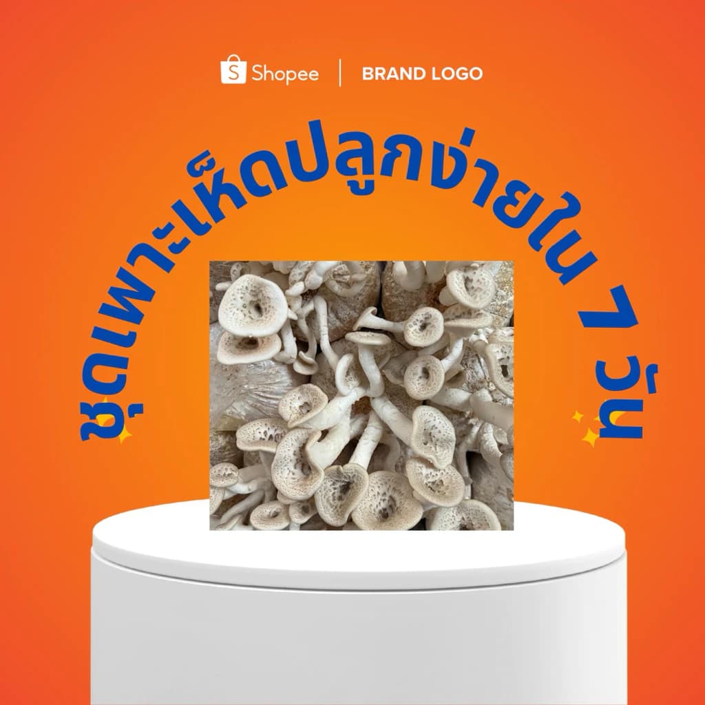 ชุดเพาะเห็ดขอน 20 ก้อนพร้อมปลูกสำหรับมือใหม่