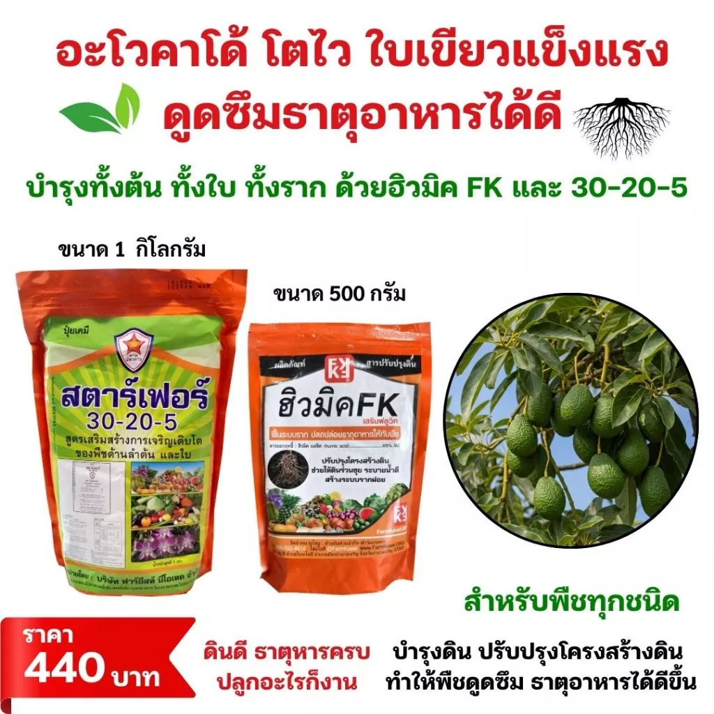 ชุดปุ๋ยเร่งโต ต้นอะโวคาโด้ โตไวใบเขียว บำรุงดิน พืชกินปุ๋ยได้ดี ฮิวมิค FK และปุ๋ยสตาร์เฟอร์ 30-20-5