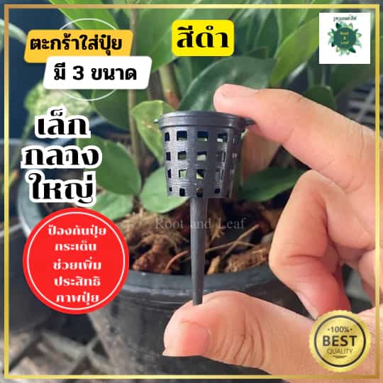 ตะกร้าใส่ปุ๋ย สีดำ ขนาด 1 นิ้ว ช่วยให้ปุ๋ยอยู่ได้นานขึ้น รดน้ำปุ๋ยไม่กระเด็น…
