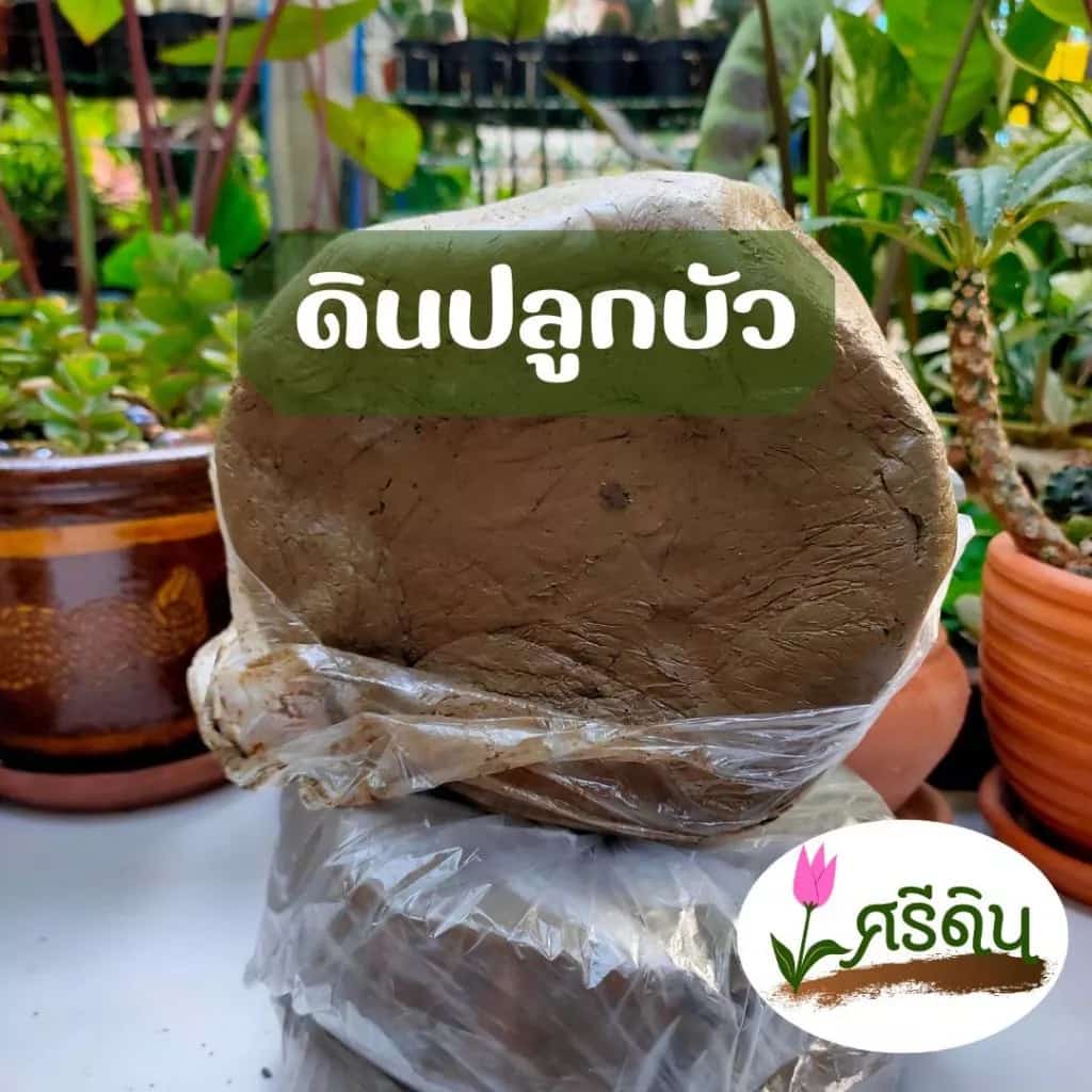 ดินเหนียว 1 Kg ดินปลูกบัว ดินปั้นกระสุน