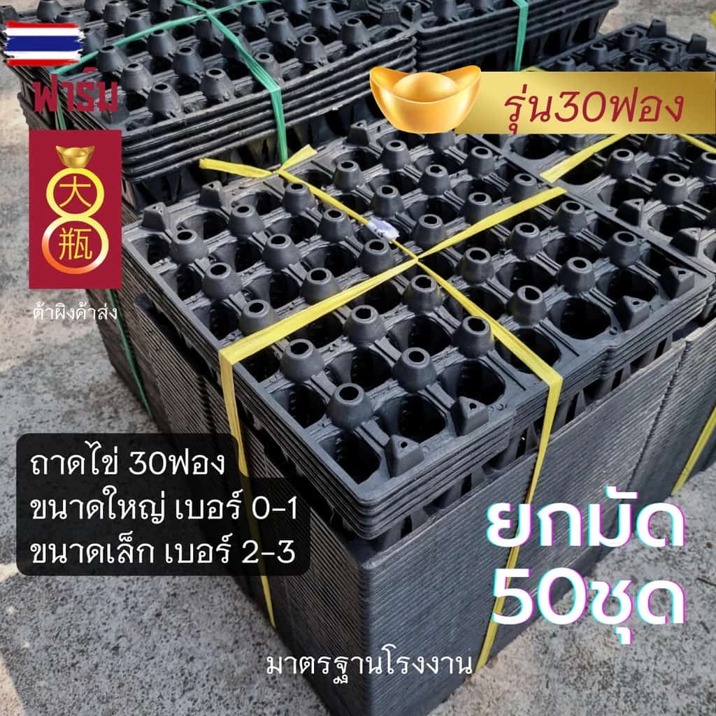 แผงไข่พลาสติก ถาดไข่30ฟอง เอร์0-1 เอร์2-3 ของใหม่ ยกลัง!! แพค50