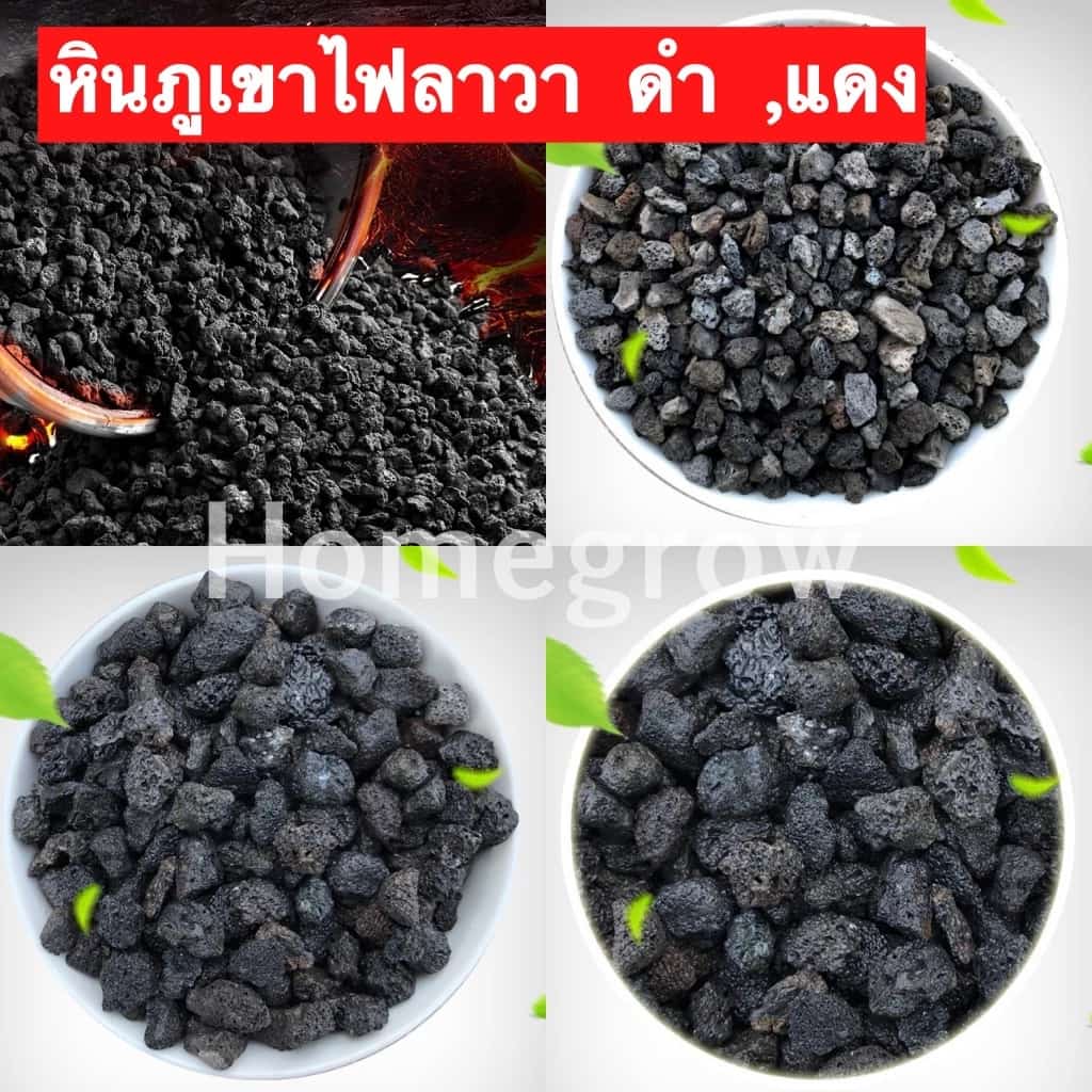 หินภูเขาไฟลาวา หินลาวาดำ หินลาวาแดง (Lava Stone)…