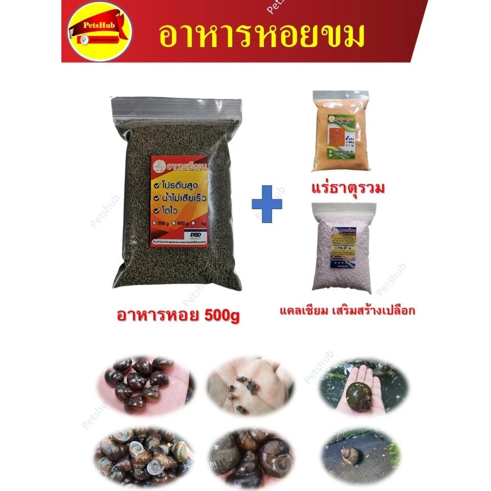 อาหารหอยขม หอยขมยักษ์ หอยขมรัตนะ 500กรัม แร่ธาตุส้ม100กรัม แคลเซียม100กรัม โตเร็ว น้ำไม่เสีย