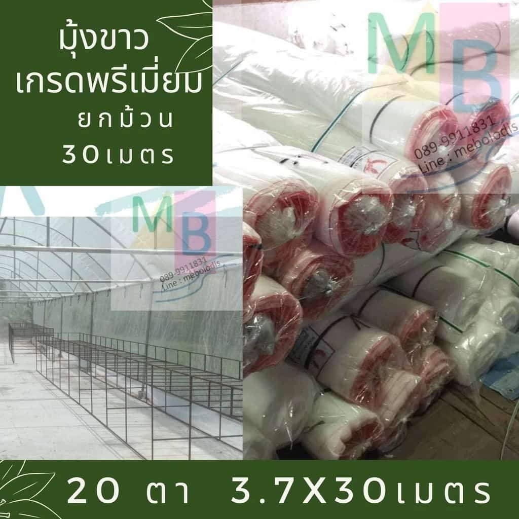 ตาข่ายกันแมลง มุ้งขาว คลุมโรงเรือน ตาข่ายปลูกผัก 20ตา ผ้ามุ้ง โรงเรือน มุ้งขาวกันแมลง…