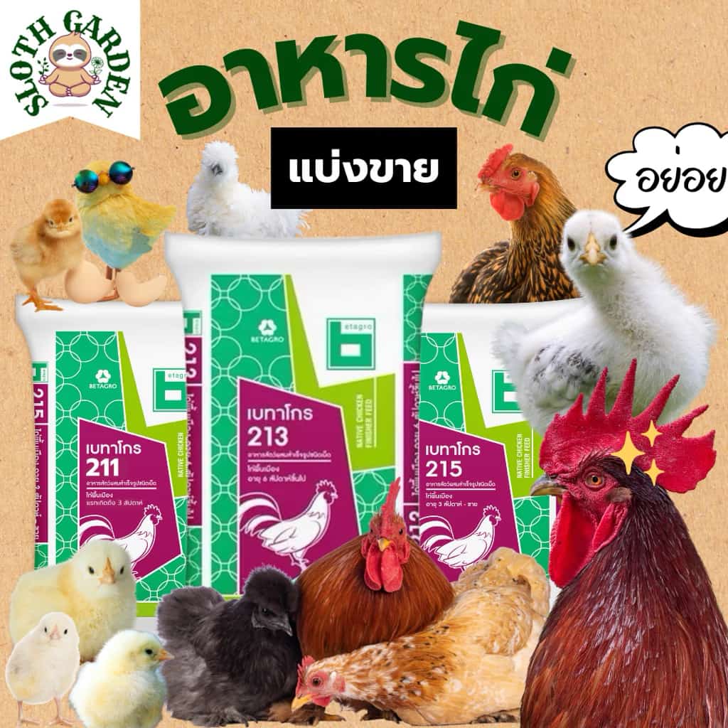 รวมอาหารไก่แบ่งขาย เบทาโกรทุกช่วงวัย สำหรับไก่ชน ไก่ไข่ ไก่สวยงาม ไก่พื้นเมือง นก เป็ด ห่าน Betagro 211, 215