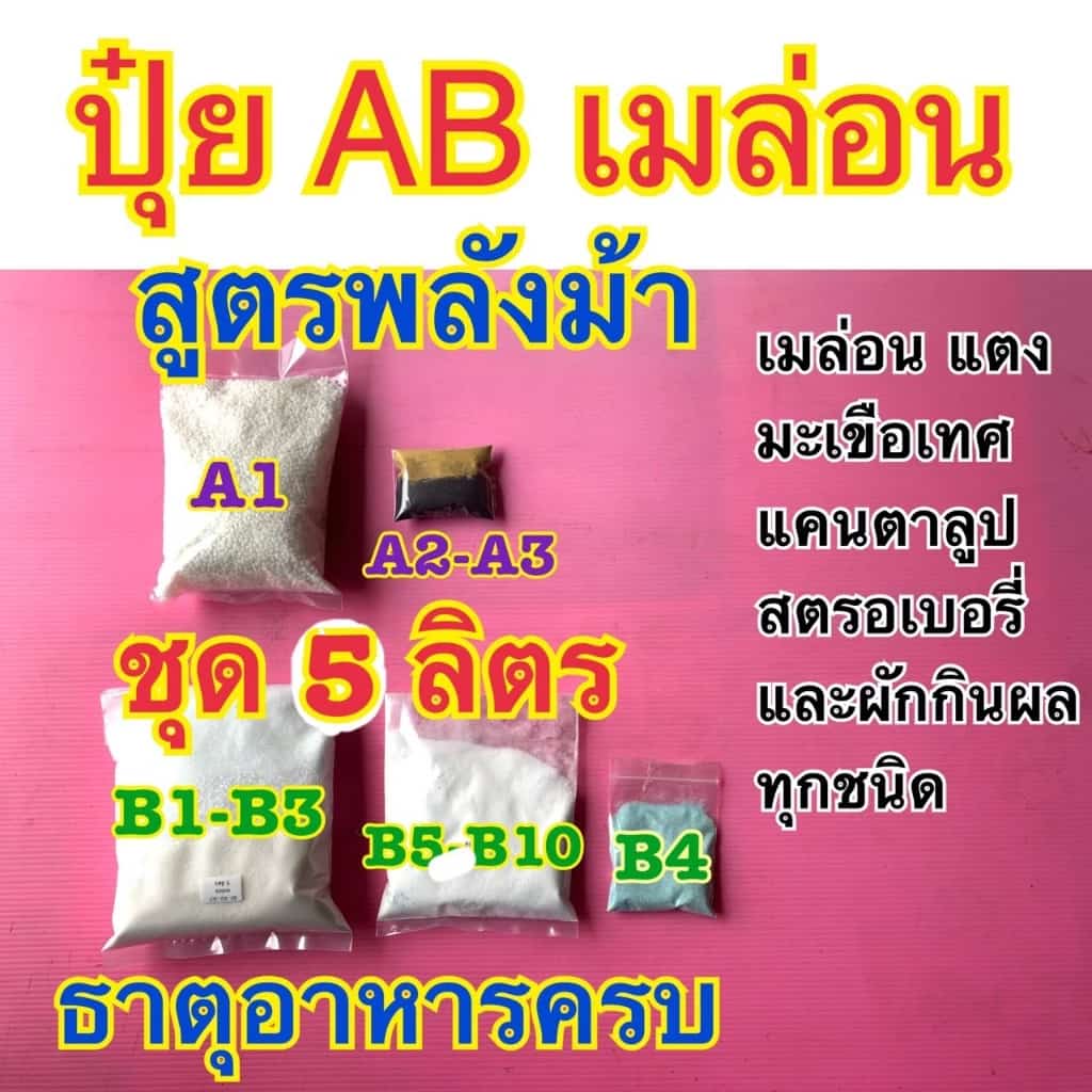 ปุ๋ย AB สูตรเมล่อน ปุ๋ยกันชา สูตรพลังม้า แคนตาลูป แตง มะเขือเทศ สตรอเบอรี่ และผักกินผลทุกชนิด ธาตุอาหารครบ ขนาด 5,10ลิตร
