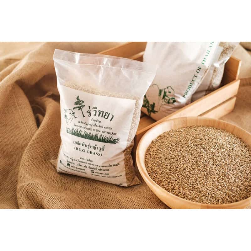 เมล็ดพันธุ์หญ้ารูซี่ 1 kg เกรดส่งออก Ruzi Grass จาก ไร่วิทยา อาหารสัตว์ใหญ่ หญ้าเลี้ยงวัวควายแพะแกะไก่