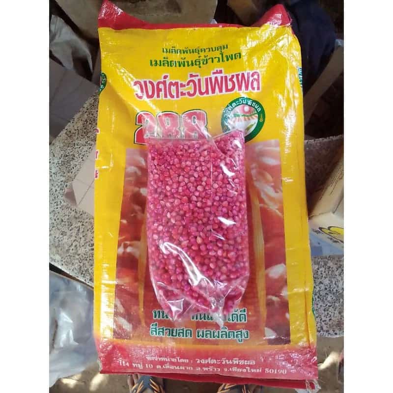 เมล็ดพันธุ์ข้าวโพดเลี้ยงสัตว์ แบ่งขายขนาด1กิโลกรัม
