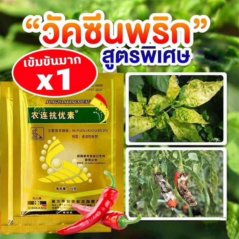 ป้องกันโรคพริกเน่า ยาป้องกันโรคพืช ต่างๆ ใช้ควบคุมโรคเน่า โรคสนิม โรคราน้ำค้าง ยาฉีดพริกเน่า…