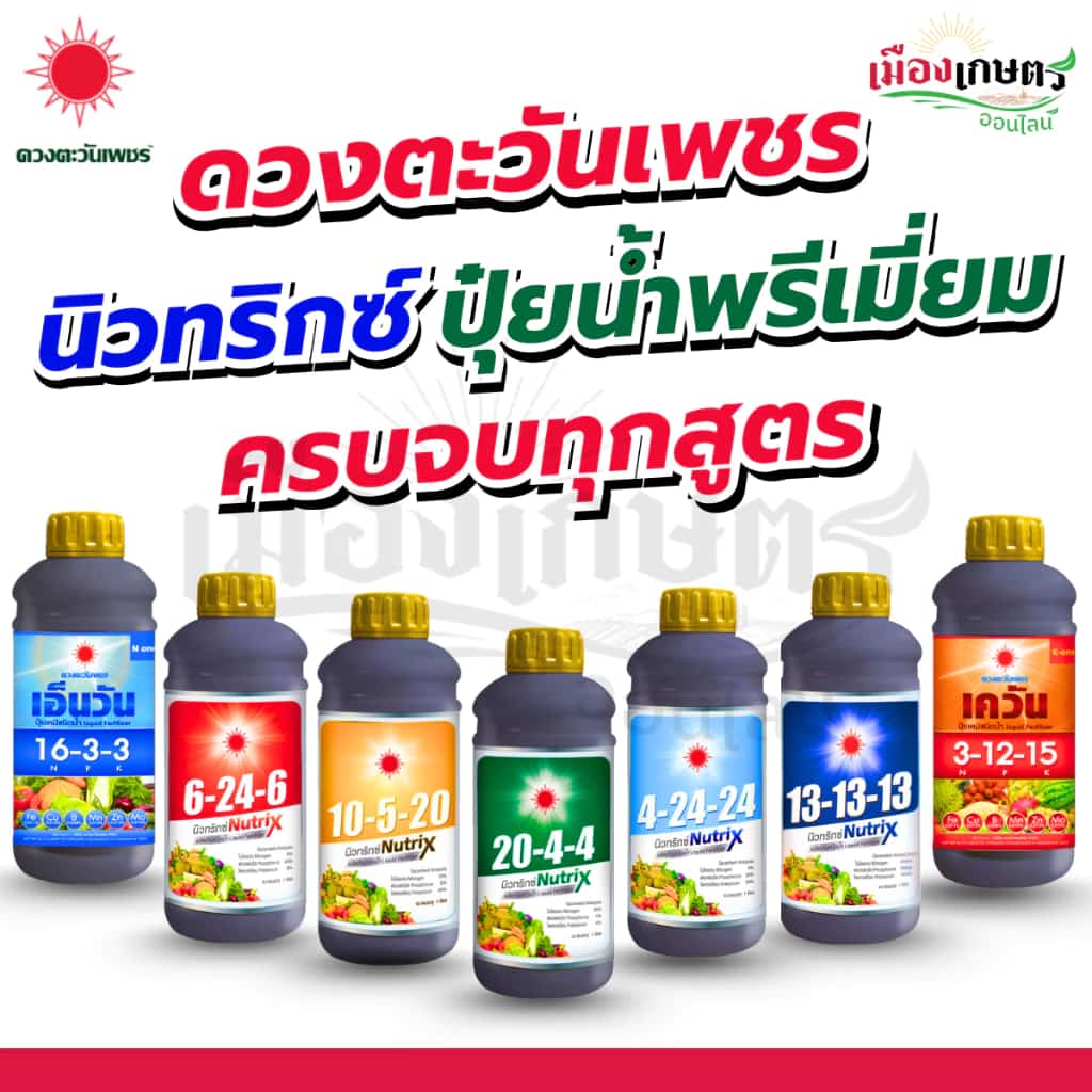 ปุ๋ยน้ำ สูตร ดวงตะวันเพชร 1 ลิตร สูตรบำรุงดอก ผล ขยายดอก เพิ่มขนาด เพิ่มความหวาน เร่งหวาน เร่ง ทุเรียน มัน อ้อย ข้าวโพด